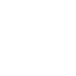 Open in fullscreen